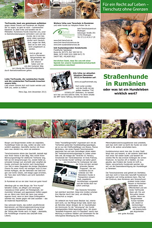 bmt Flyer Straßenhunde klein